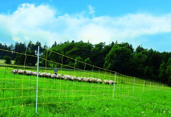 The dummies guide to a Electric Fence Energisers